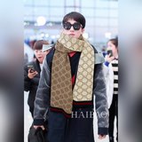 G家專櫃經典新款～驚爆上新【GG織帶針織長巾】，從款式到面料都很贊，經典主體色加