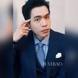 男士新款領帶系列【h大象印花領帶】，稀有h家每年都有一千條不同印花的領帶面世，從