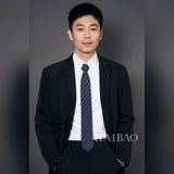 男士新款領帶系列【h大象印花領帶】，稀有h家每年都有一千條不同印花的領帶面世，從