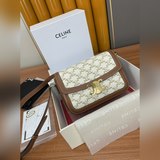 爆款系列 TEEN TRIOMPHE 帆布配小牛皮手袋這款采用小牛皮制成的TR
