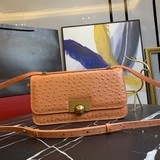 bottega veneta 爆款設計師dabiel lee的新款設計 最新鴕鳥