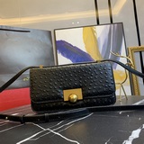 bottega veneta 爆款設計師dabiel lee的新款設計 最新鴕鳥