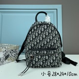 (刺繡款)小號升級版刺繡背包Dior 2023 早春新款Oblique 帆布和黑