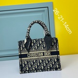 配絲巾 小號刺繡 Dior 早春最新款 購物袋 單肩包官網系列 走秀款 全力打