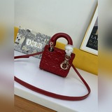 新品裝了個寂寞Supermini Lady手袋體現了 D 對精緻和美麗的深刻洞見