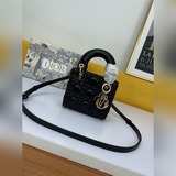 新品裝了個寂寞Supermini Lady手袋體現了 D 對精緻和美麗的深刻洞見