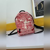 DI0R Oblique 雙肩背包款真的好好看～超級美～ 複古風絲毫不輸老款~可