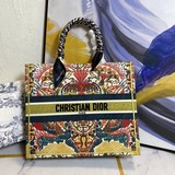 配絲巾 絲印 dior 早春最新款 購物袋 單肩包官網系列 走秀款 全力打造精