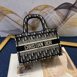 【配絲巾】鎖邊迷你刺繡，di0r 早春最新款 購物袋 單肩包，官網系列 走秀款，