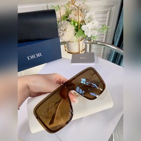 Dior Sunshine S1U 茶色細節圖