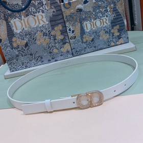 dior 23新春新款 馬鞍CD腰帶扣 dior衣櫥裡的經典單品，内側飾以Chr