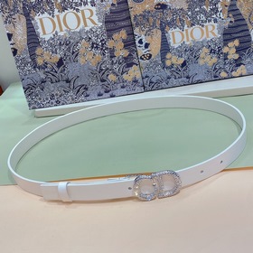 dior 23新春新款 馬鞍CD腰帶扣 dior衣櫥裡的經典單品，内側飾以Chr