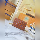 M81693棕色彩印Pochette Coussin 鍊條包 以 Monogra