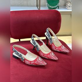 Dior 經典slingback#2023新色# 經典色長期供應！精工刺繡鞋