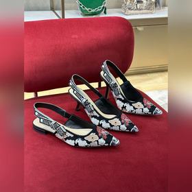 Dior 經典slingback#2023新色# 經典色長期供應！精工刺繡鞋