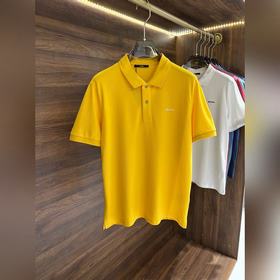 ZEGNA 傑尼亞2023春夏專櫃同款翻領短袖Polo.采用客供絲光珠地面料，胸