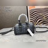 新款戈雅枕頭包2023最新款女士單肩包|||戈雅2023狗牙新款波士頓枕頭包，時