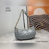 Dior2023夏季～太好看了～經典的DiorObique印花。當下最好用的腋下