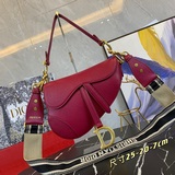 手掌紋dior oblique saddle bag 在衆多的馬鞍包裡這隻s