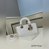大號 羊紋 實拍圖爆款火熱中   lady d-joy 手袋诠釋了 dior 對