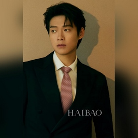 男士新款領帶系列【H新型鍊條領帶】 ，稀有H家每年都有一千條不同印花的領帶面世，