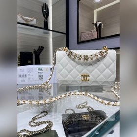 chanel 22K新品 雙鍊WOC 魚子醬 做舊五金 可拎和斜挎 A 30