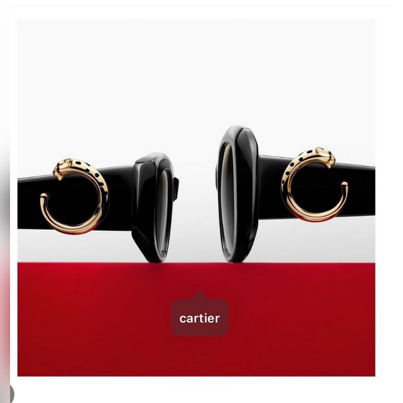 Cartier MODEL：CT0471S SIZE：53口19-145