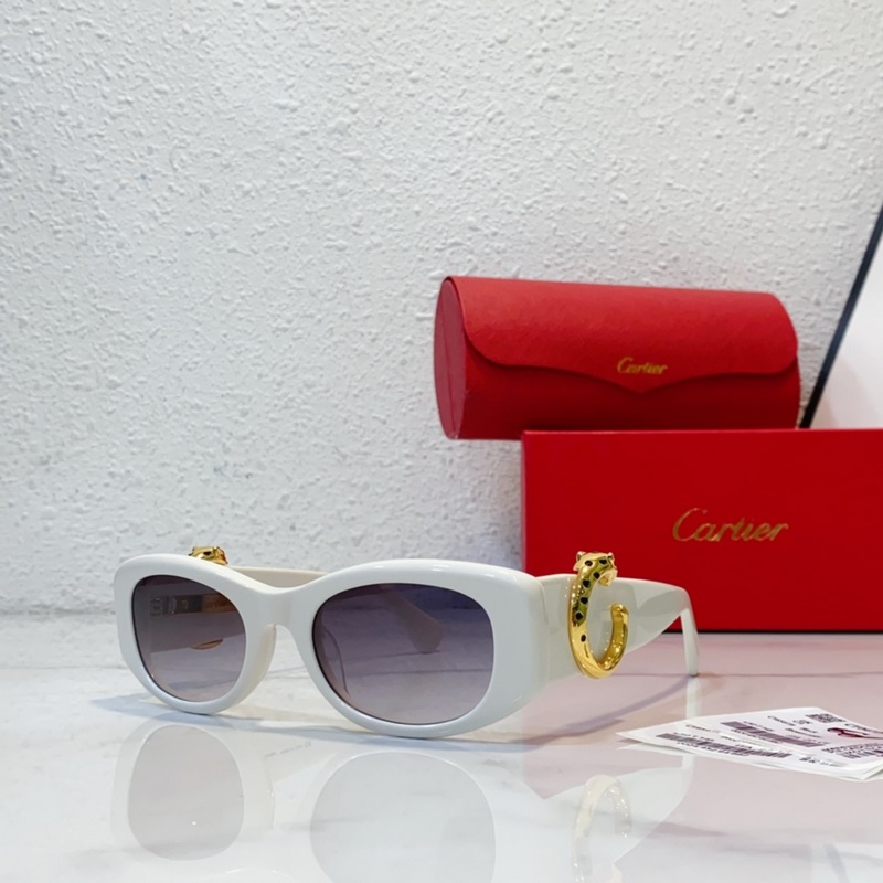 Cartier MODEL：CT0472S SIZE：50口22-145