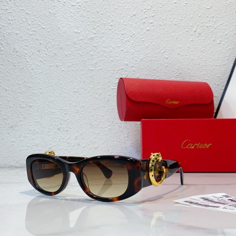 Cartier MODEL：CT0472S SIZE：50口22-145