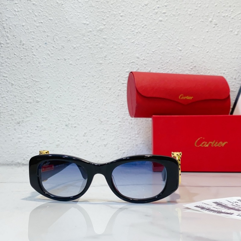 Cartier MODEL：CT0472S SIZE：50口22-145