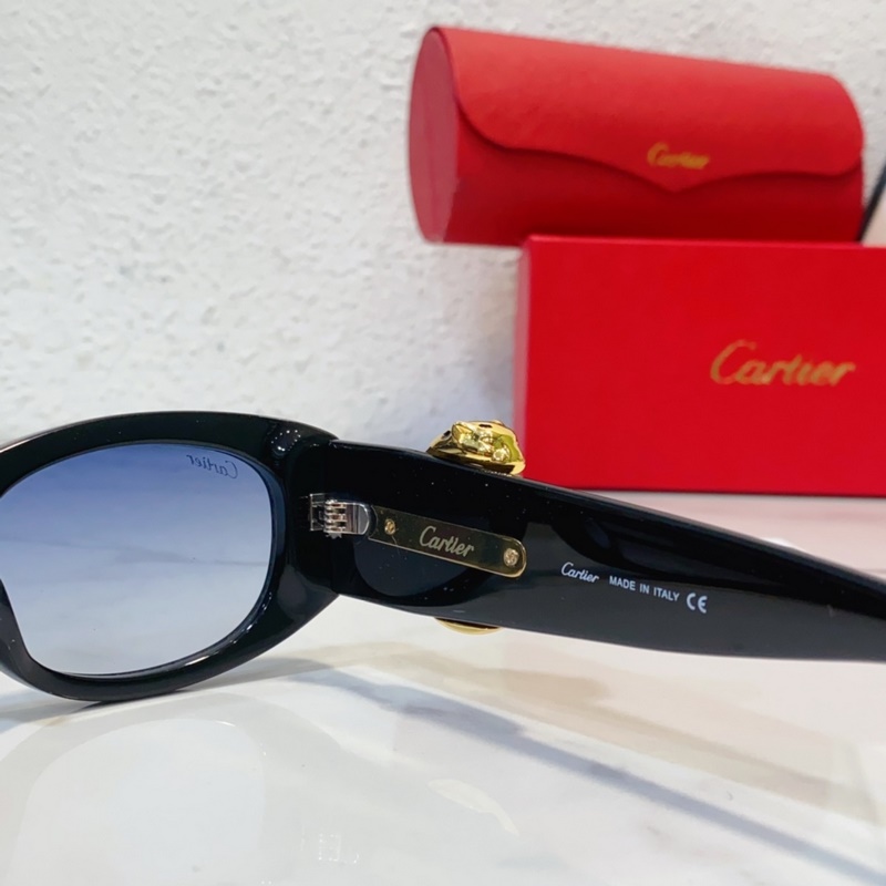 Cartier MODEL：CT0472S SIZE：50口22-145
