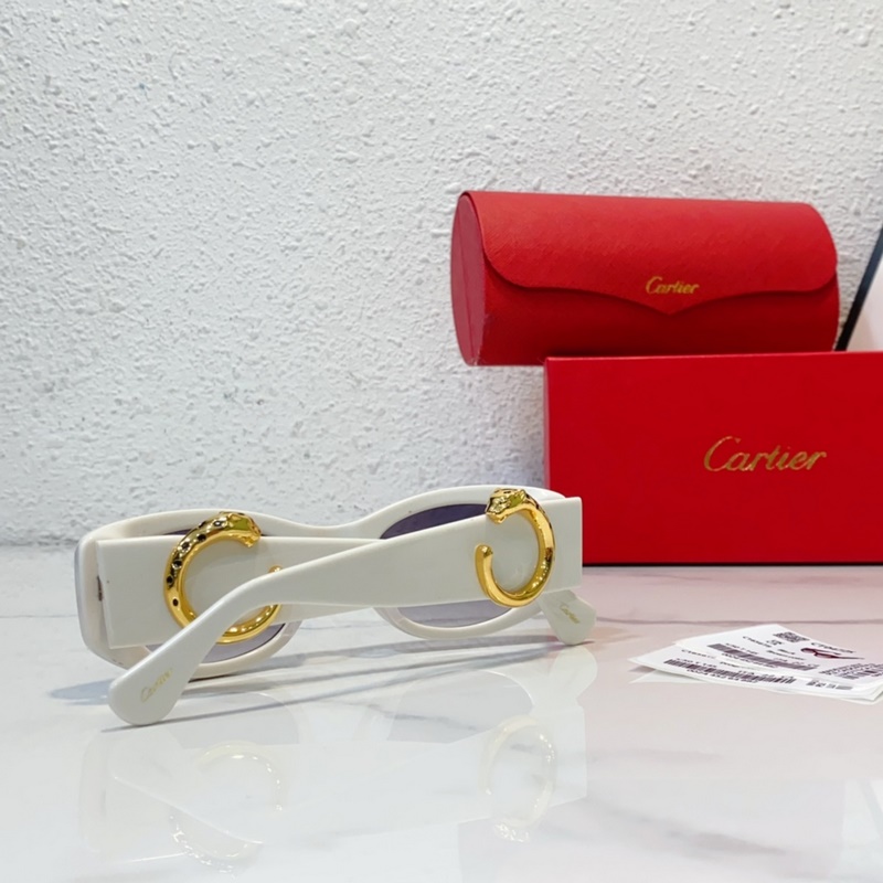 Cartier MODEL：CT0472S SIZE：50口22-145