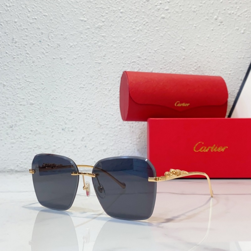 CartierMod：CT0544S SIZE：140