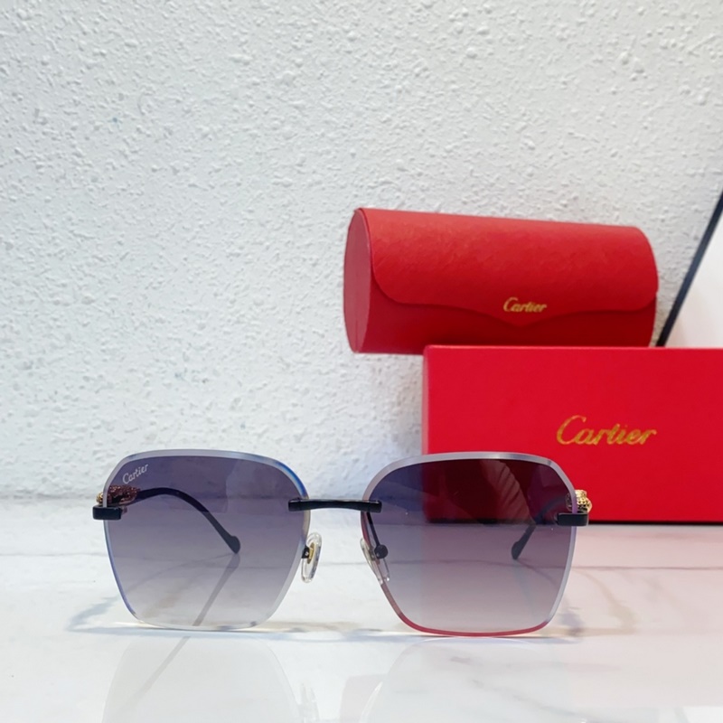 CartierMod：CT0544S SIZE：140