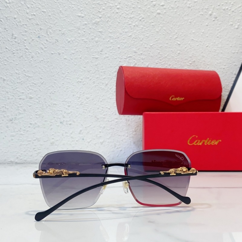 CartierMod：CT0544S SIZE：140