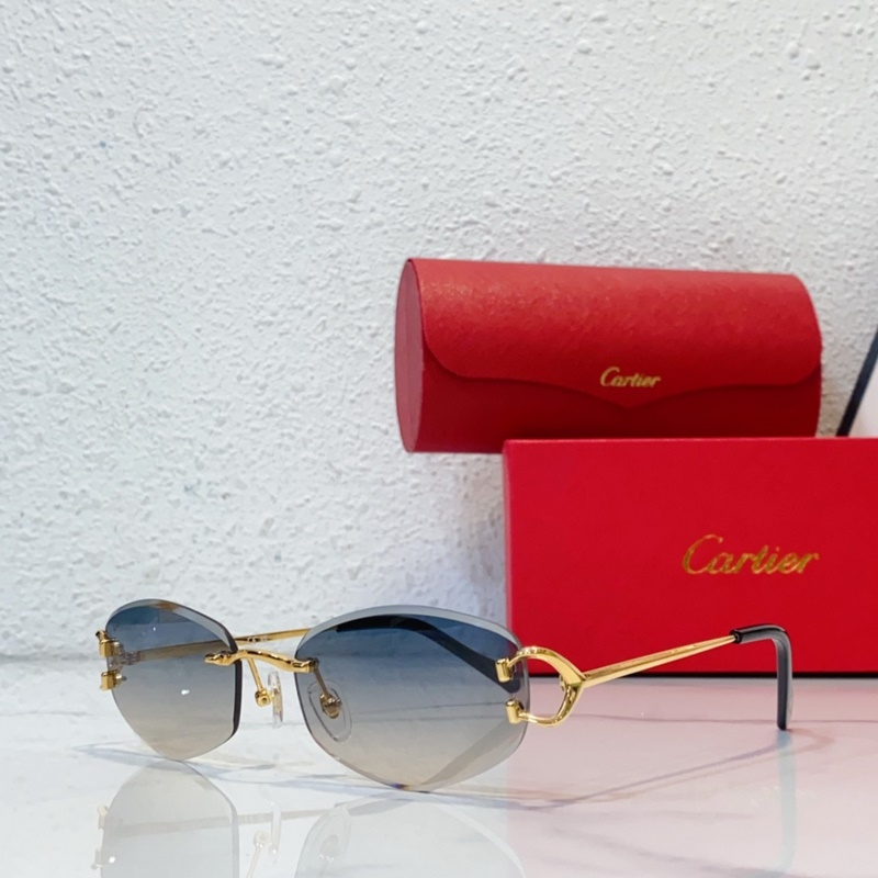 Cartier CT0467S SIZE：57口18-140