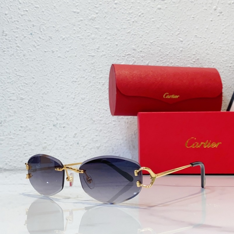 Cartier CT0467S SIZE：57口18-140