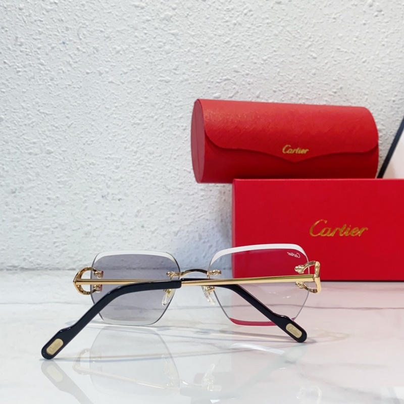 CartierMod：CT0433S SIZE：145