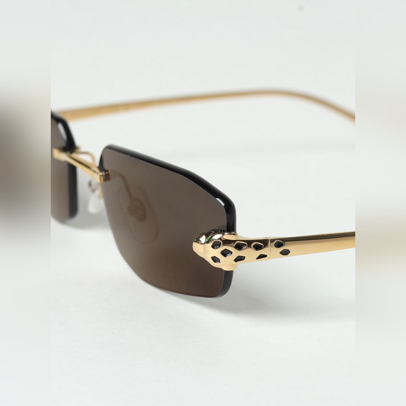 Cartier MODEL：CT0474S SIZE：56口18-140