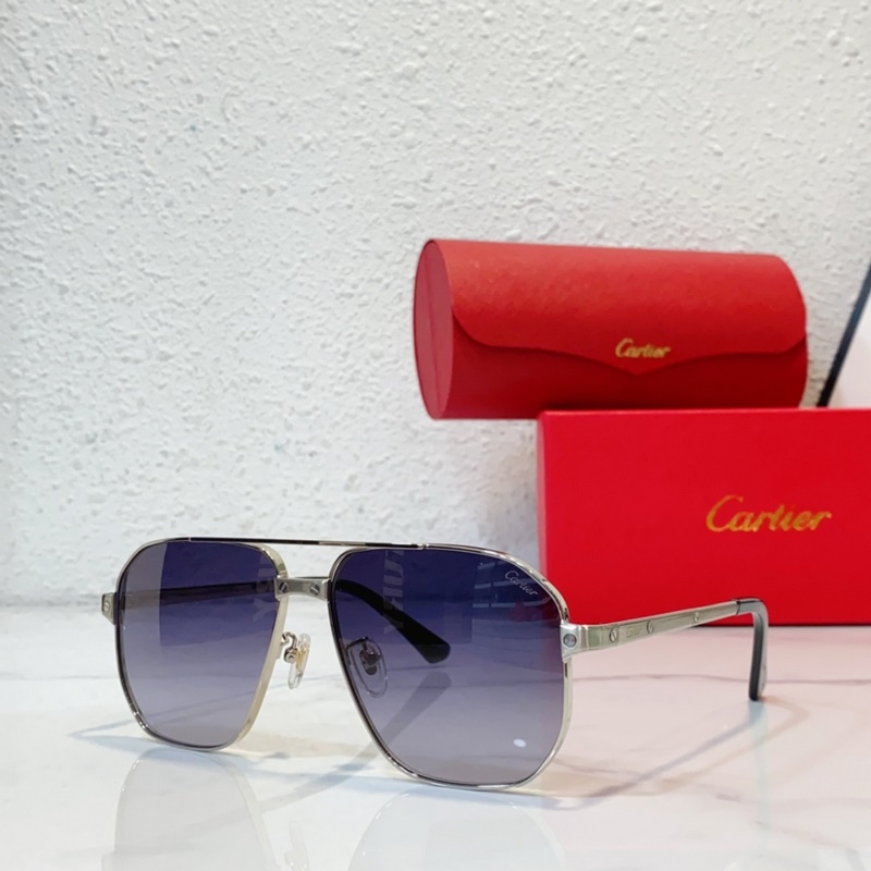 Cartier  MODEL： CT0424S SIZE：59口15-140