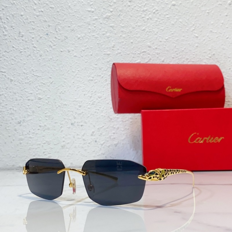 Cartier MODEL：CT0474S SIZE：56口18-140