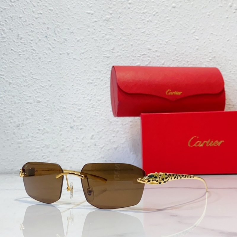 Cartier MODEL：CT0474S SIZE：56口18-140