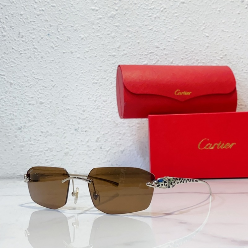 Cartier MODEL：CT0474S SIZE：56口18-140