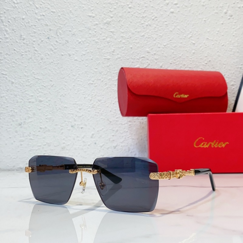 Cartier  MODEL：CT0613S SIZE：50口21-145