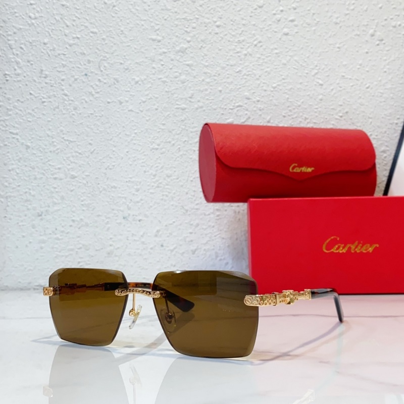 Cartier  MODEL：CT0613S SIZE：50口21-145