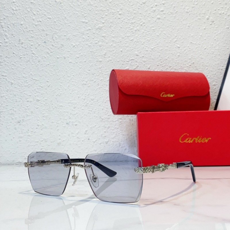 Cartier  MODEL：CT0613S SIZE：50口21-145