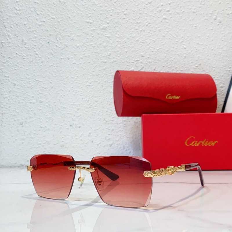 Cartier  MODEL：CT0613S SIZE：50口21-145