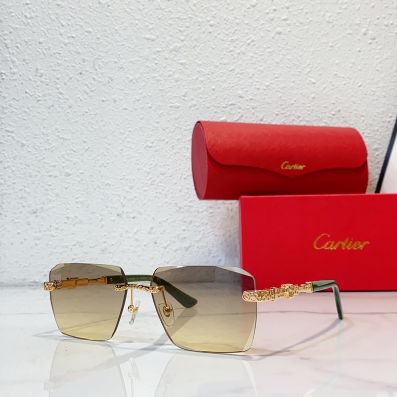 Cartier  MODEL：CT0613S SIZE：50口21-145