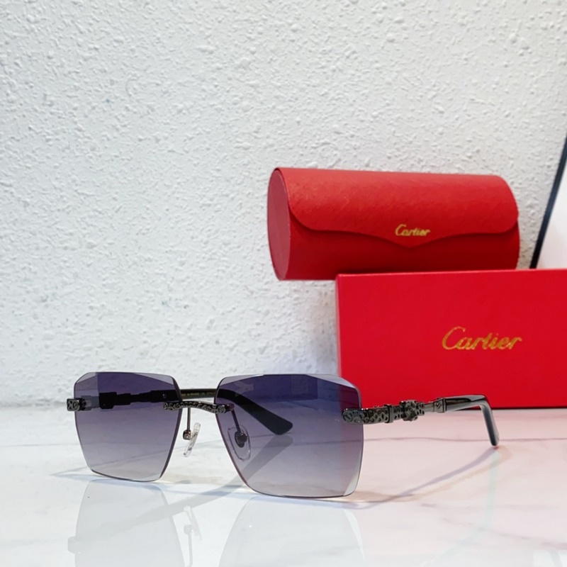 Cartier  MODEL：CT0613S SIZE：50口21-145