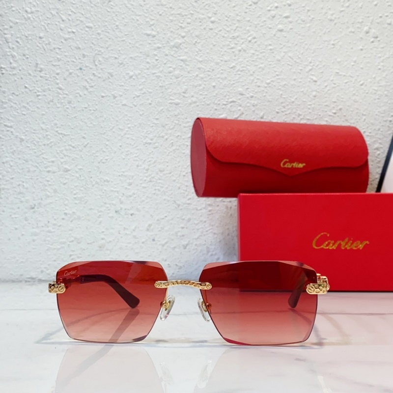 Cartier  MODEL：CT0613S SIZE：50口21-145